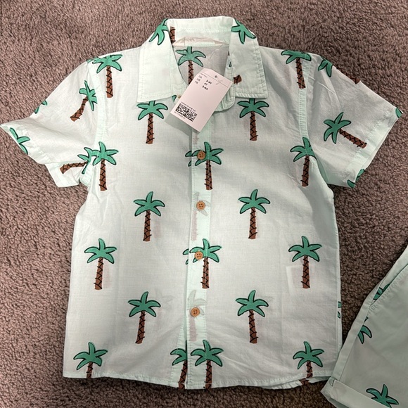 Toddler boys, H&M outfit size 4T color mint with palm trees - Picture 2 of 4